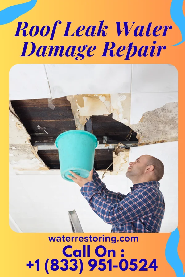 Roof Leak Water Damage Repair in Nederland, TX