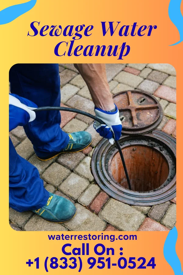 Sewage Water Cleanup in Nederland, TX